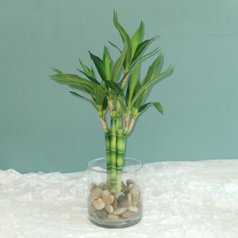 Desk Setup Plant - Nouvelle plante artificielle Bambou porte-bonheur de