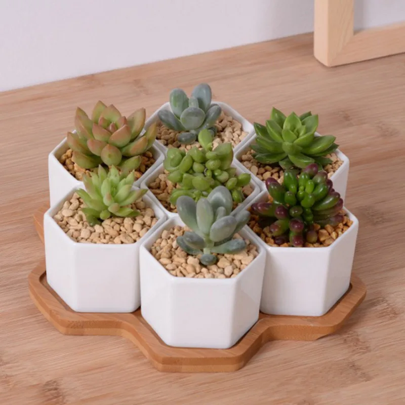 Desk Setup White - Pot de fleurs hexagonal en céramique