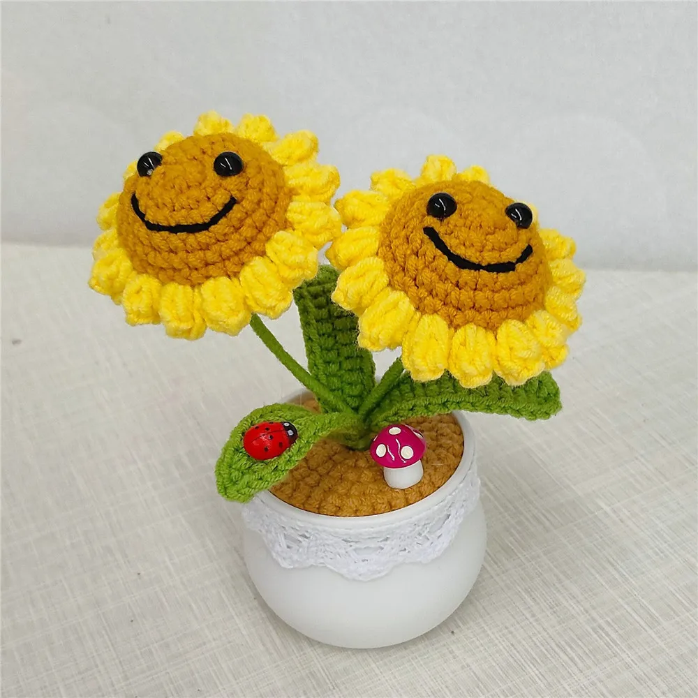 Pot de fleur de pois de tourne - Desk Setup Plant avis et prix
