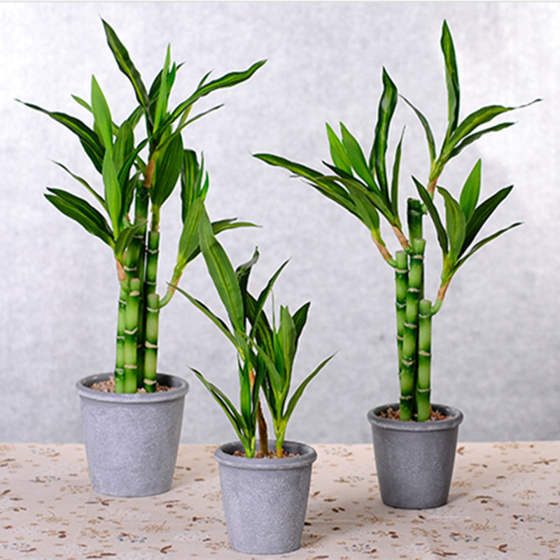 Nouvelle plante artificielle B - Desk Setup Plant avis et prix