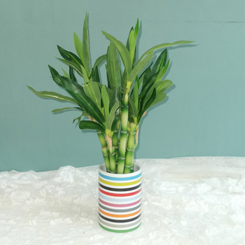Nouvelle plante artificielle B - Desk Setup Plant avis et prix