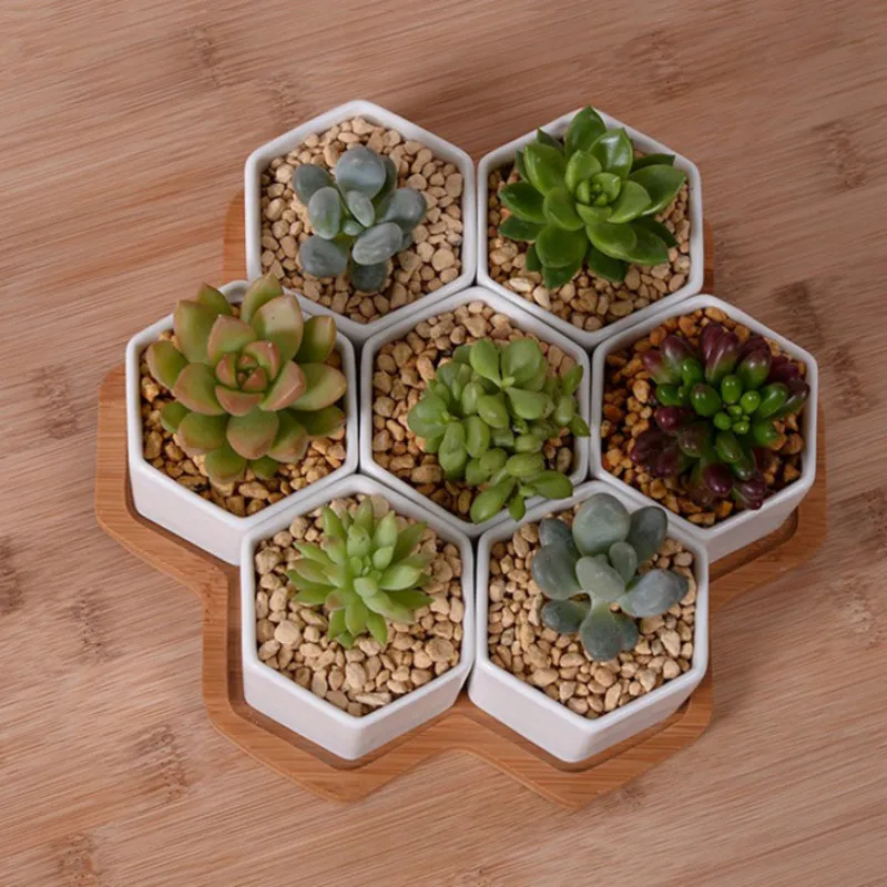 Pot de fleurs hexagonal en cér - Desk Setup White avis et prix