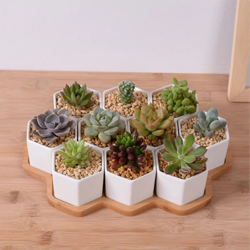 Pot de fleurs hexagonal en cér - Desk Setup White avis et prix